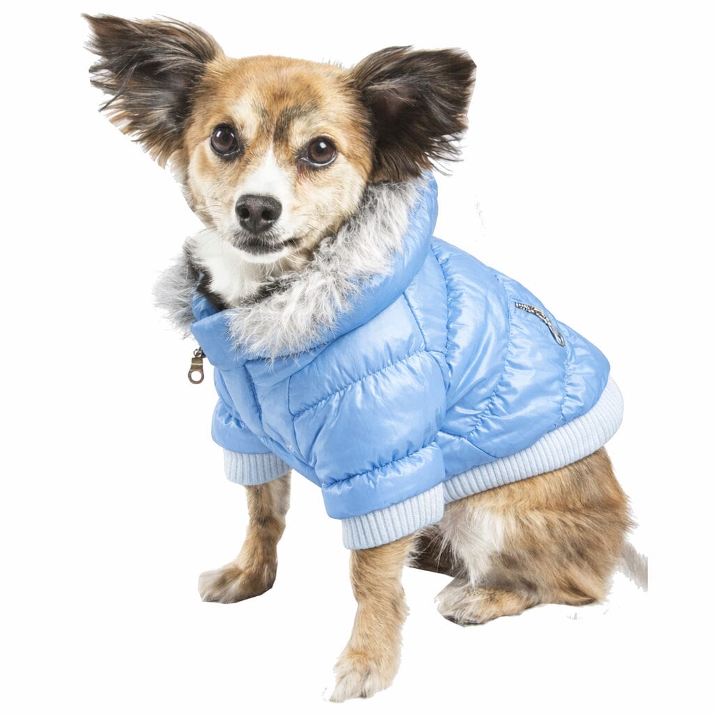 Pet Life ® Classic Metallic Fashion 3M Insulated Dog Coat Parka w/ Removable Hood Sky Blue