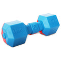 Pet Life ® 'Dumbbell' Durable Chew and Fetch TPR Waterproof Floating Dog Toy Default Title