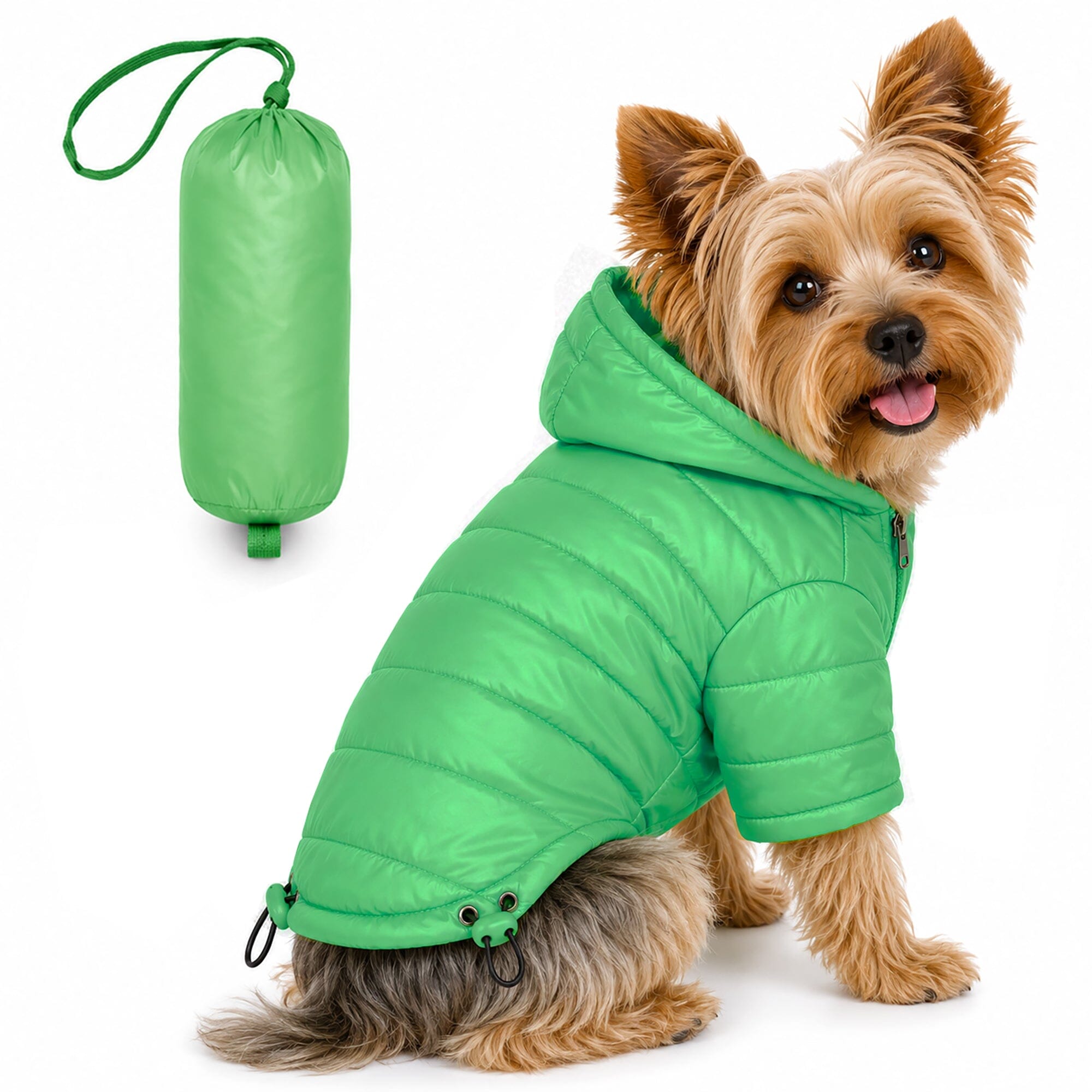 Pet Life ® Lightweight Adjustable and Collapsible 'Sporty Avalanche' Dog Coat w/ Pop-out Zippered Hood Mint Green