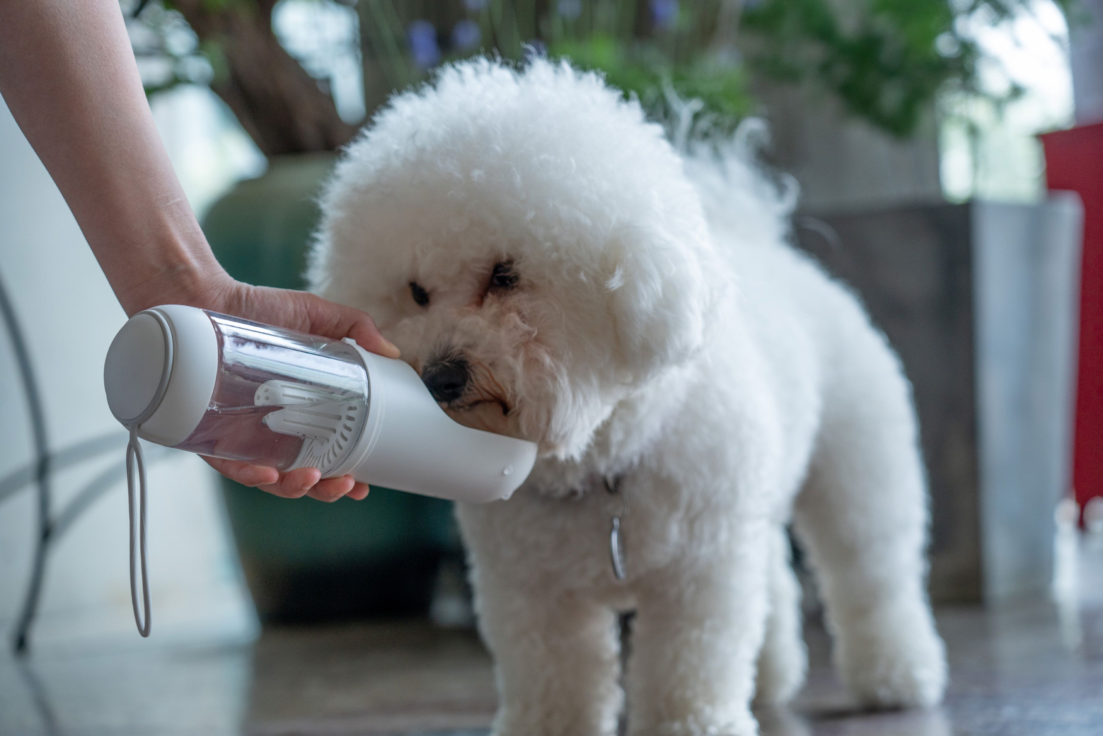 Pet Life ® 'PYURE' Handheld Travel Filtered Water Feeder