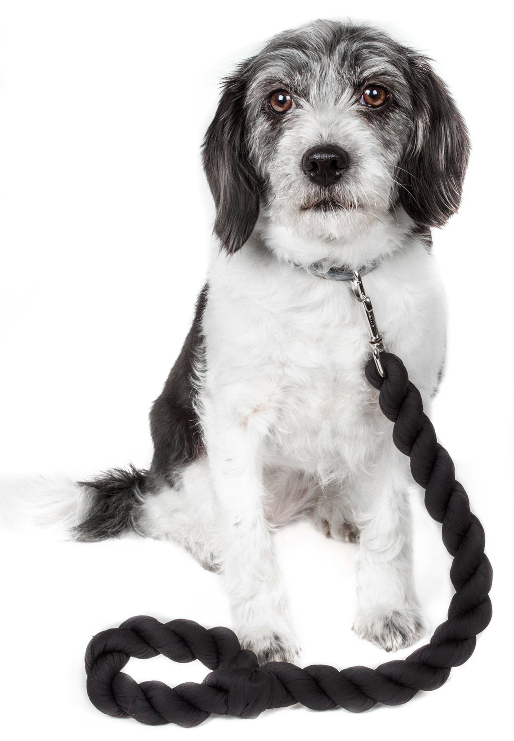 Pet Life ® 'Tough-Tugger' Industrial-Strength Shock Absorption Woven Pet Dog Leash Navy