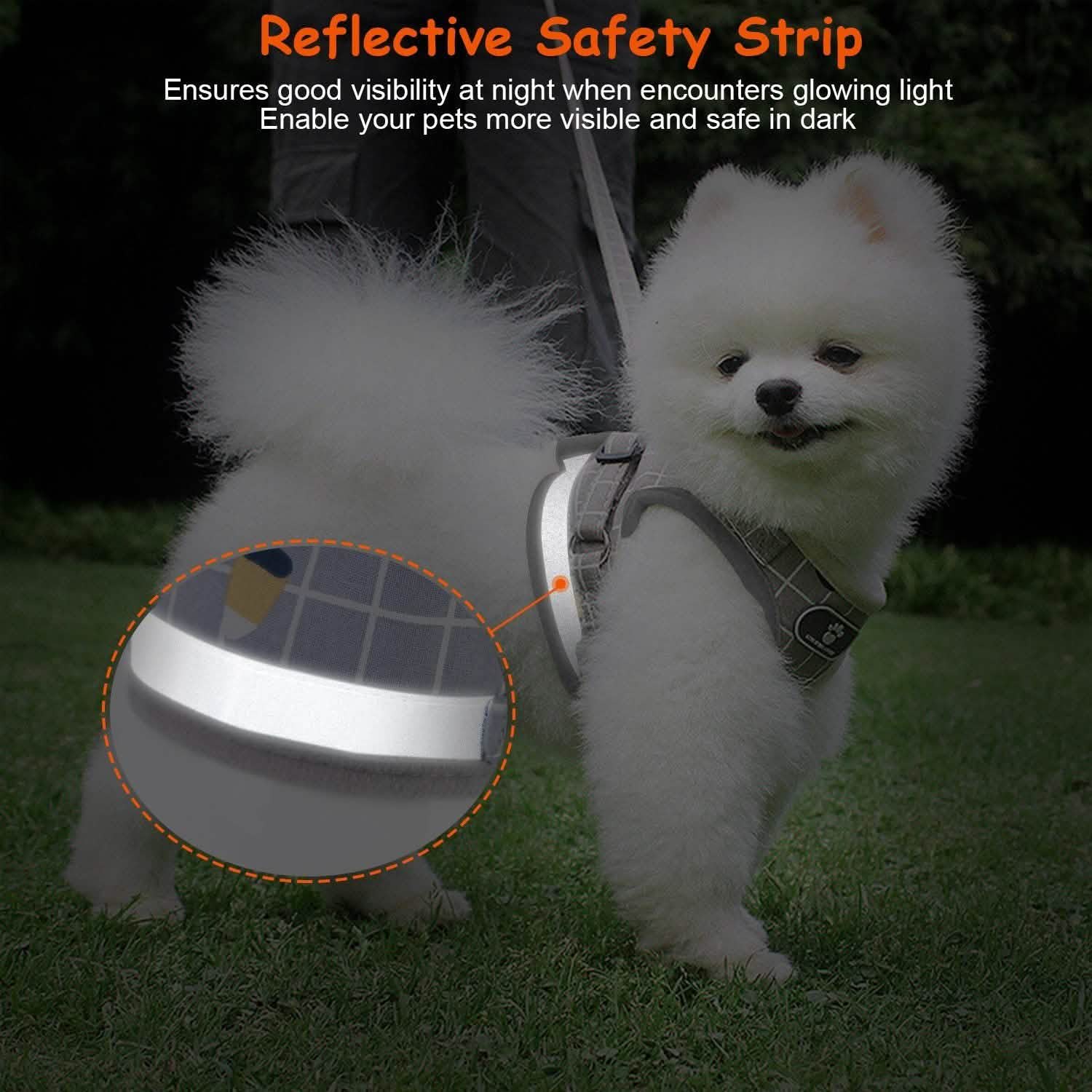 Breathable Mesh Puppy Vest Harness & Leash – Reflective | XS–XL | 5 Styles