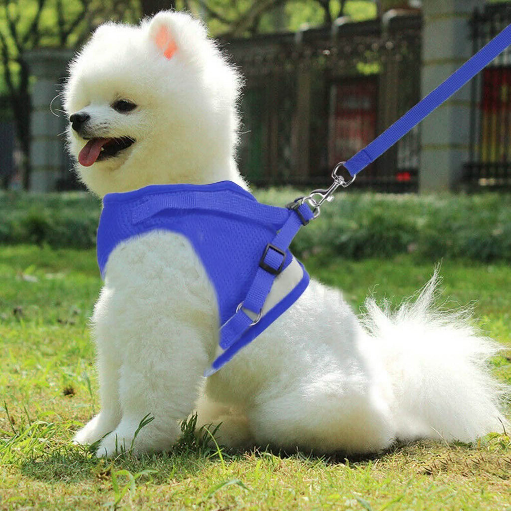 Breathable Mesh Puppy Vest Harness & Leash – Reflective | XS–XL | 5 Styles