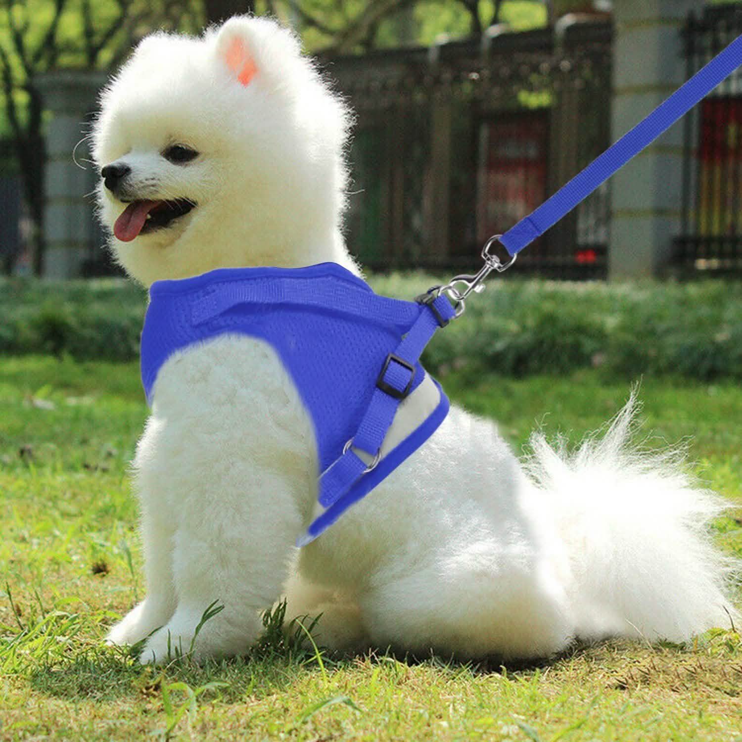 Breathable Mesh Puppy Vest Harness & Leash – Reflective | XS–XL | 5 Styles
