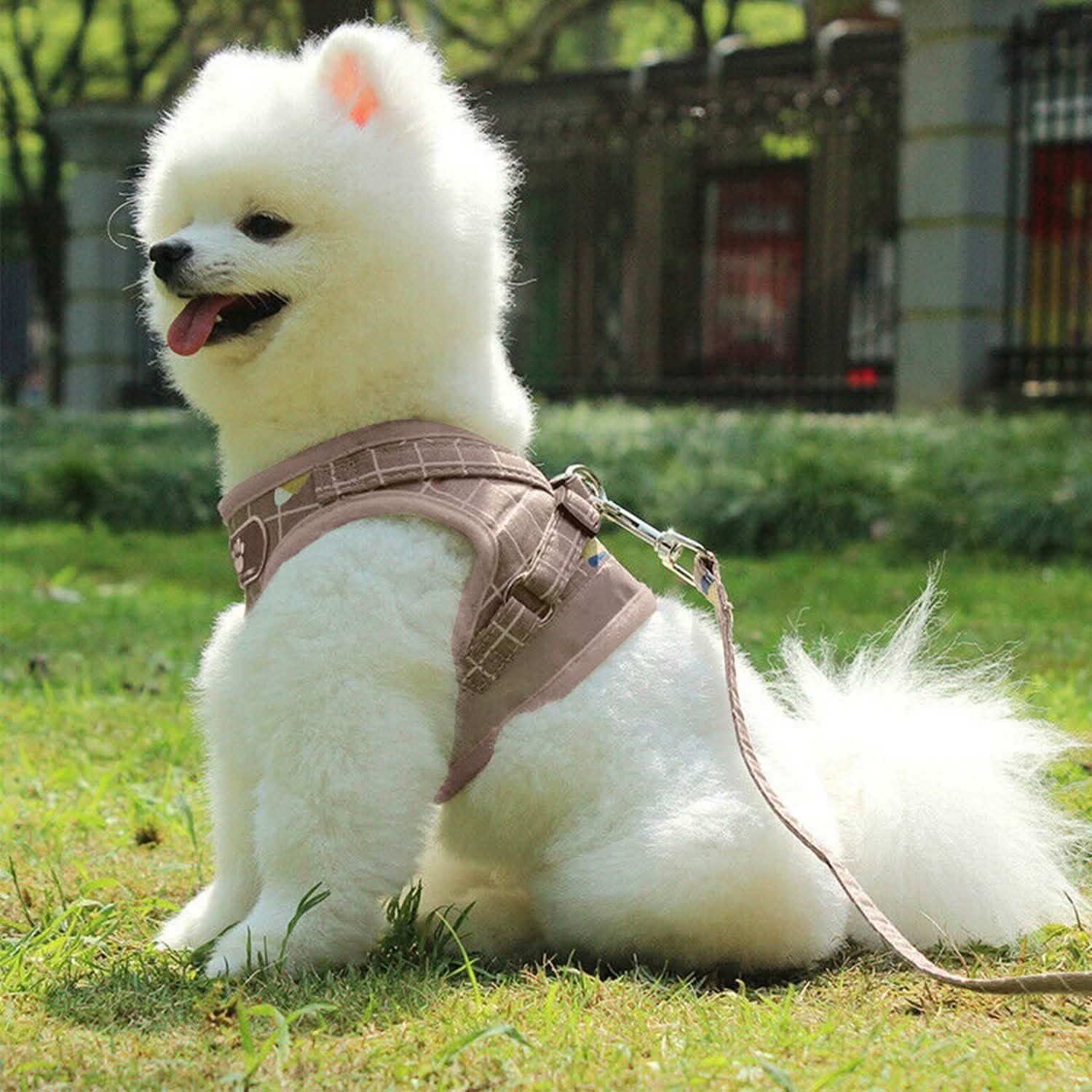 Breathable Mesh Puppy Vest Harness & Leash – Reflective | XS–XL | 5 Styles