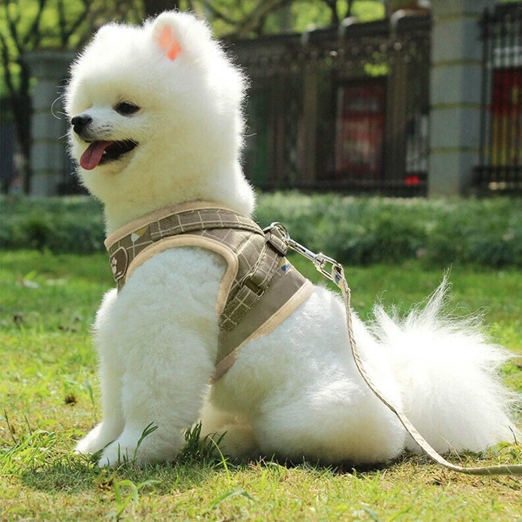 Breathable Mesh Puppy Vest Harness & Leash – Reflective | XS–XL | 5 Styles