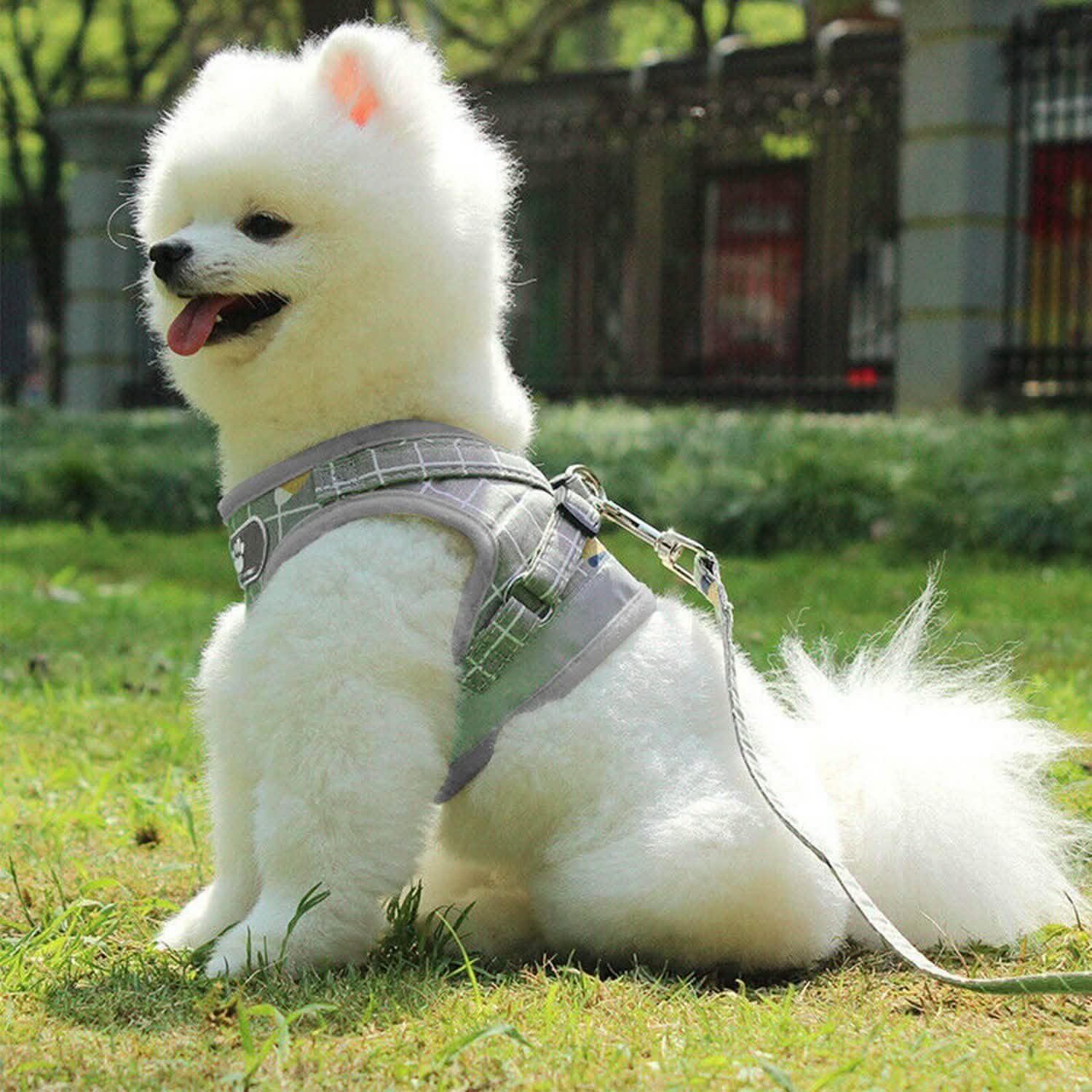 Breathable Mesh Puppy Vest Harness & Leash – Reflective | XS–XL | 5 Styles
