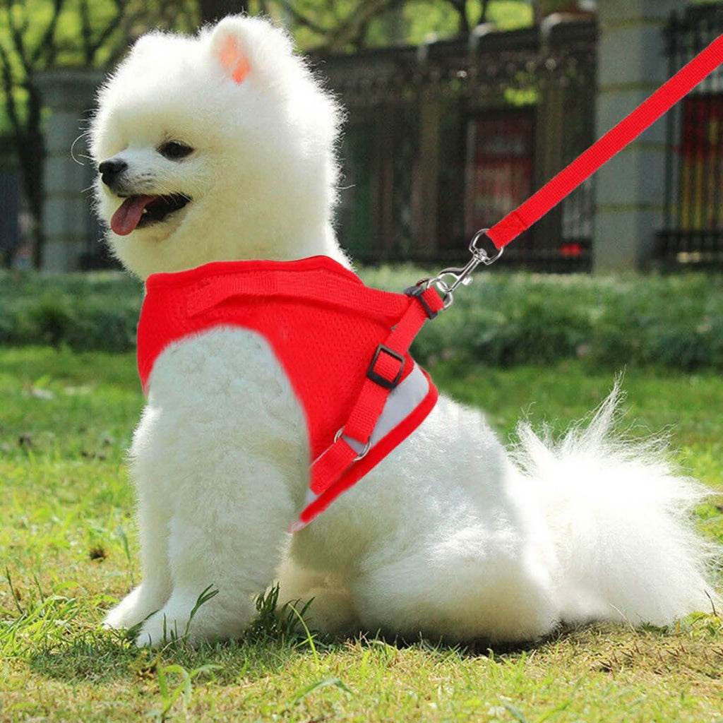 Breathable Mesh Puppy Vest Harness & Leash – Reflective | XS–XL | 5 Styles