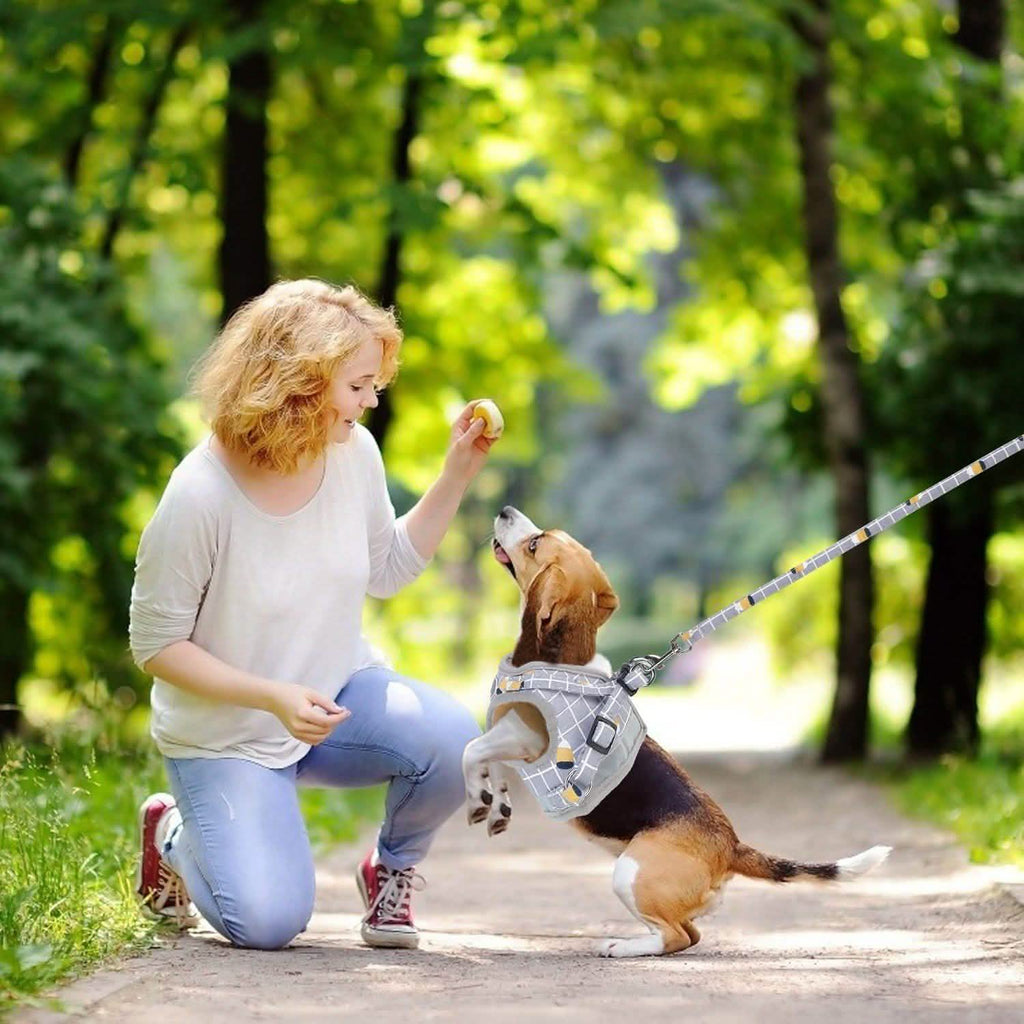 Breathable Mesh Puppy Vest Harness & Leash – Reflective | XS–XL | 5 Styles