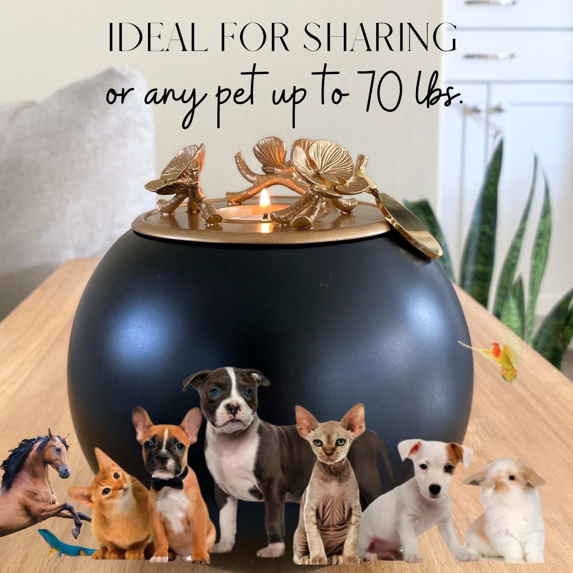 Orchid Urn for Dog & Pet Ashes - Handmade