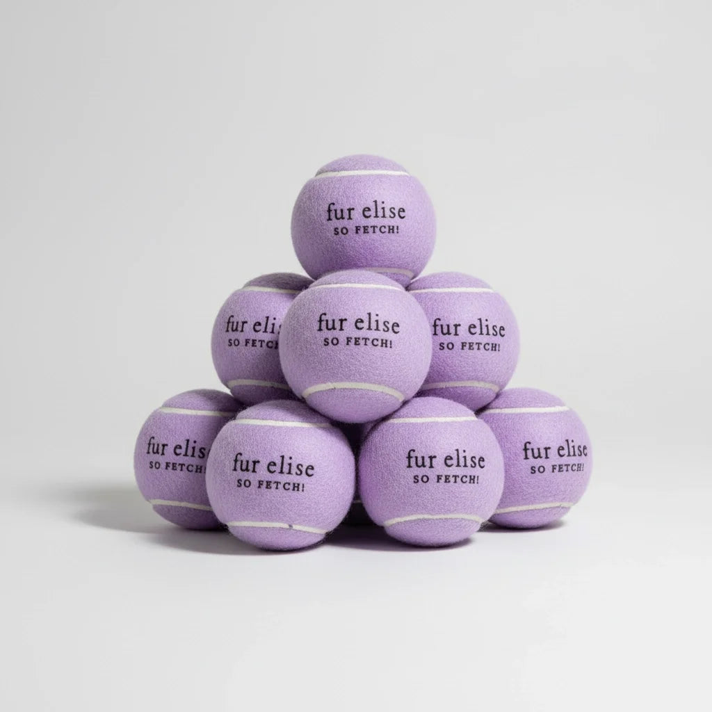 Fur Elise So Fetch! Tennis Ball Pack of 7 - Lilac