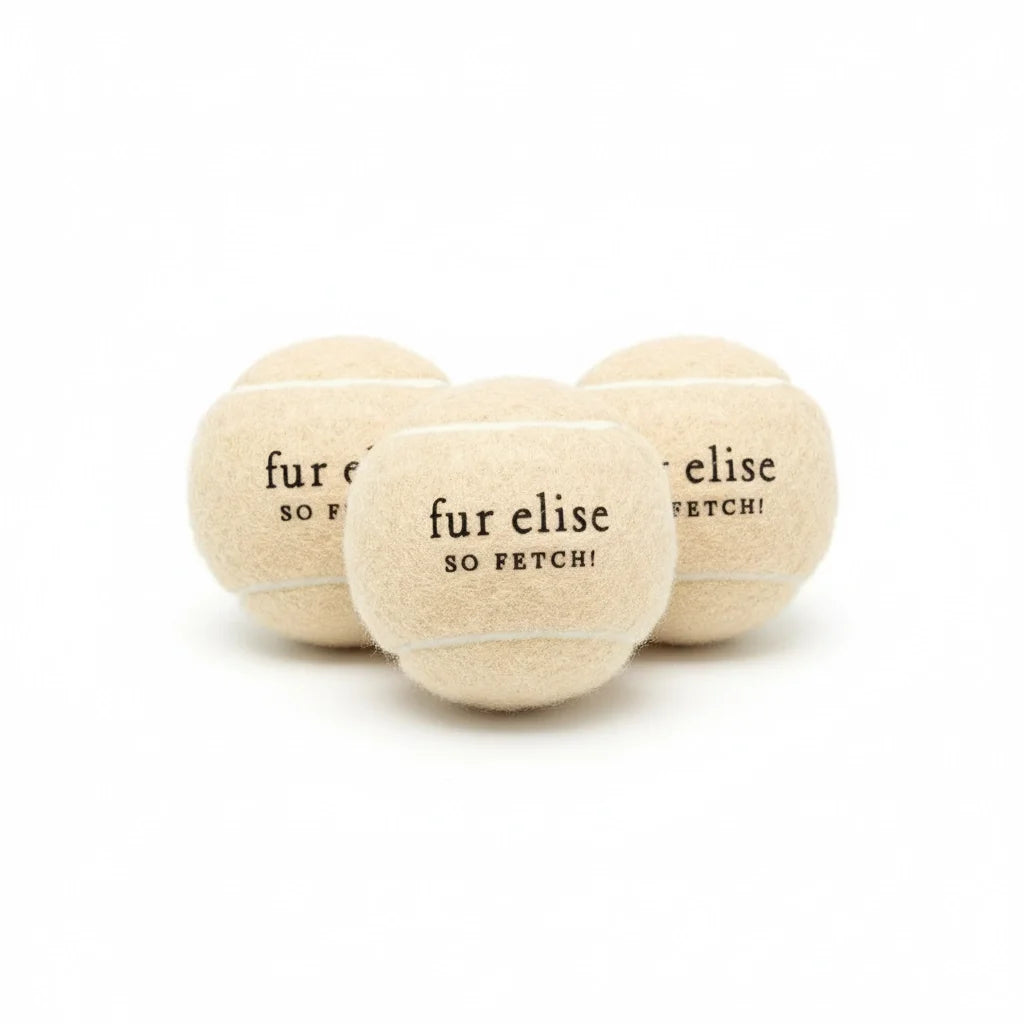 Fur Elise So Fetch! Tennis Ball Pack of 3 - Latte