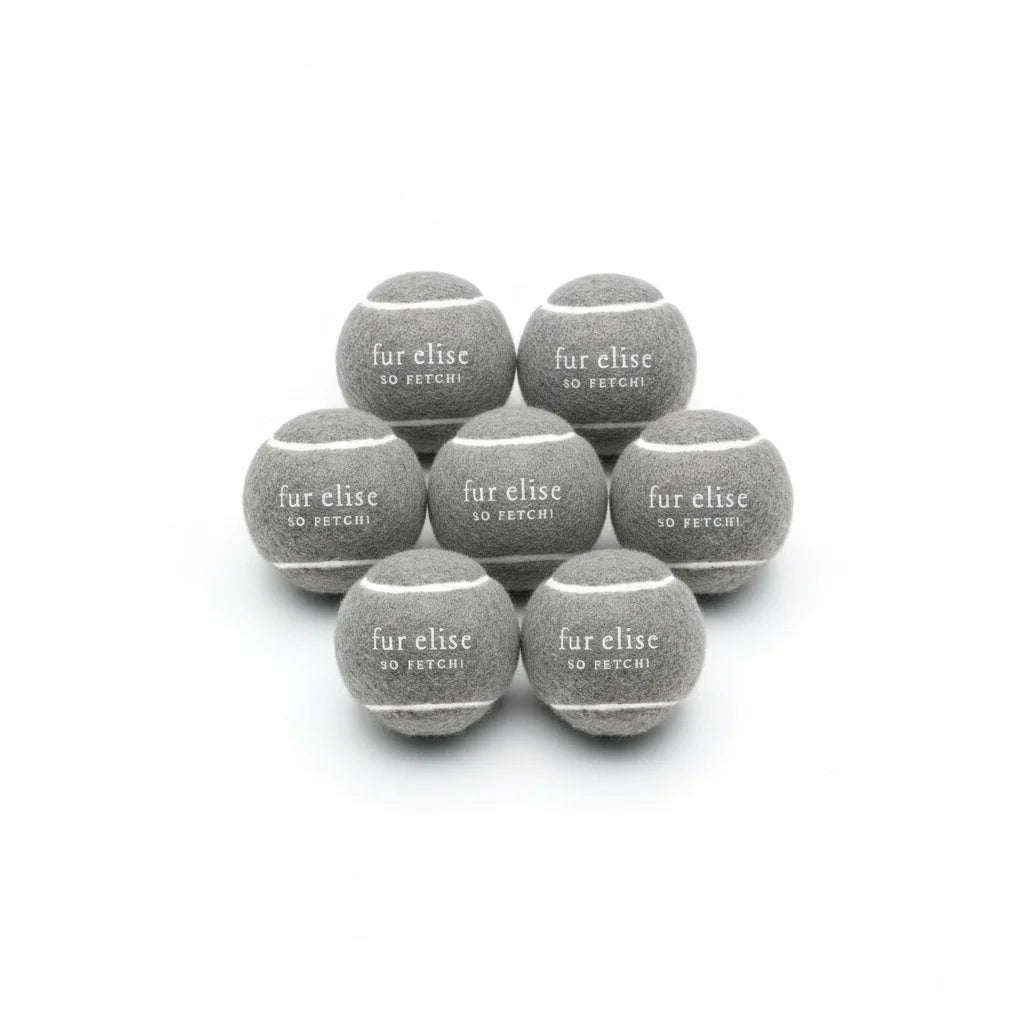 Fur Elise So Fetch! Tennis Ball Pack of 7 - Steel