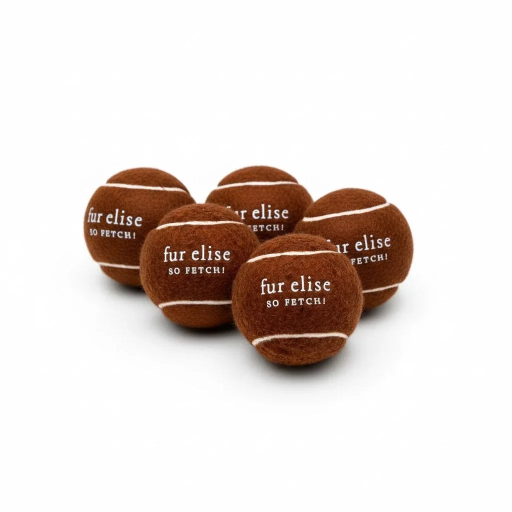 Fur Elise So Fetch! Tennis Ball Pack of 5 - Coffee
