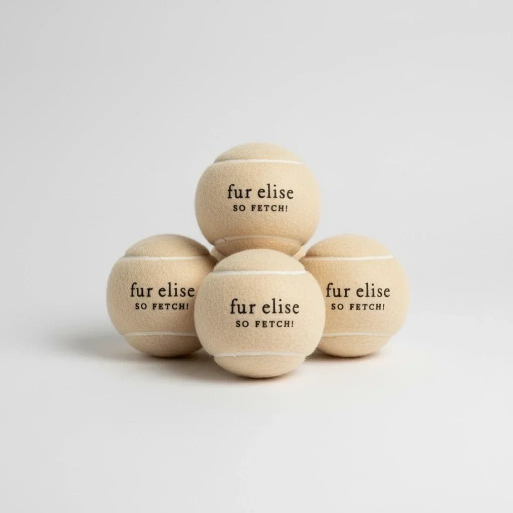 Fur Elise So Fetch! Tennis Ball Pack of 5 - Latte