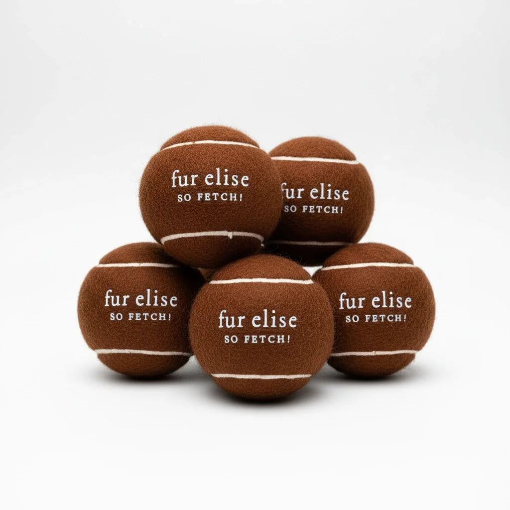 Fur Elise So Fetch! Tennis Ball Pack of 5 - Coffee