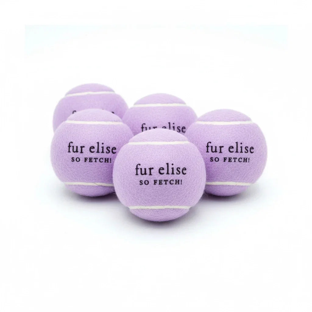 Fur Elise So Fetch! Tennis Ball Pack of 5 - Lilac