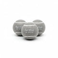 Fur Elise So Fetch! Tennis Ball Pack of 3 - Steel