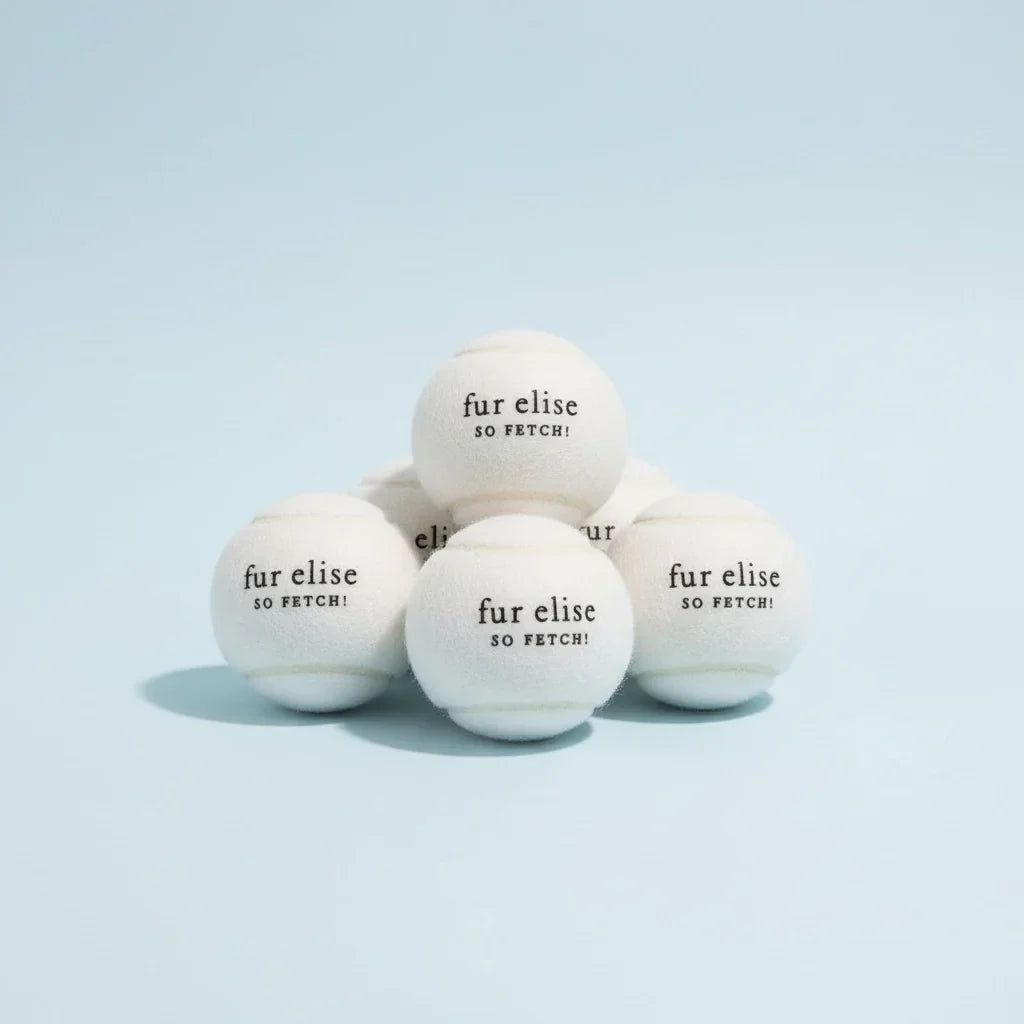 Fur Elise So Fetch! Tennis Ball Pack of 5 - Ivory