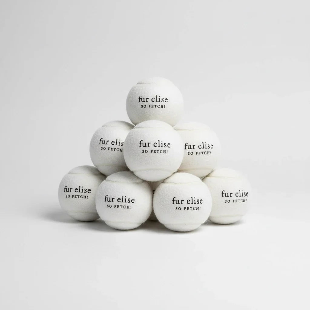 Fur Elise So Fetch! Tennis Ball Pack of 7 - Ivory