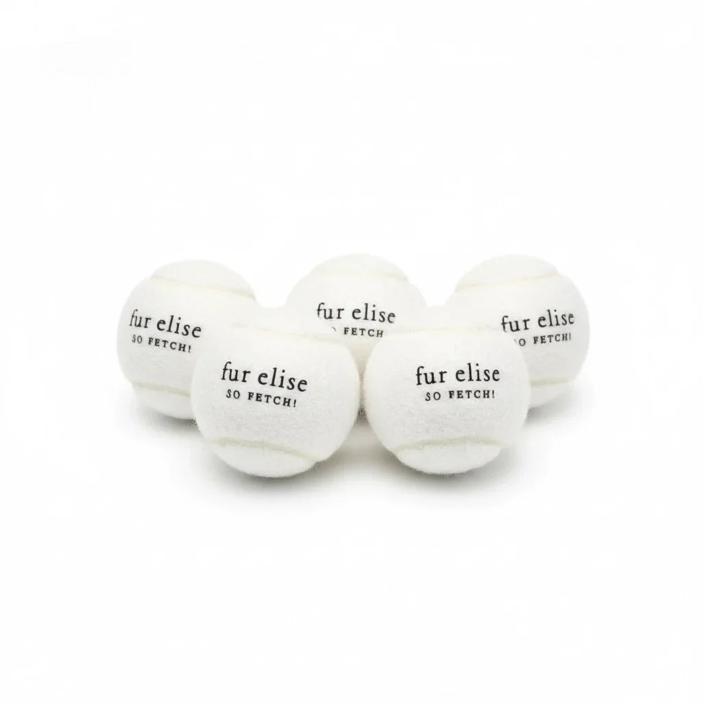 Fur Elise So Fetch! Tennis Ball Pack of 5 - Ivory