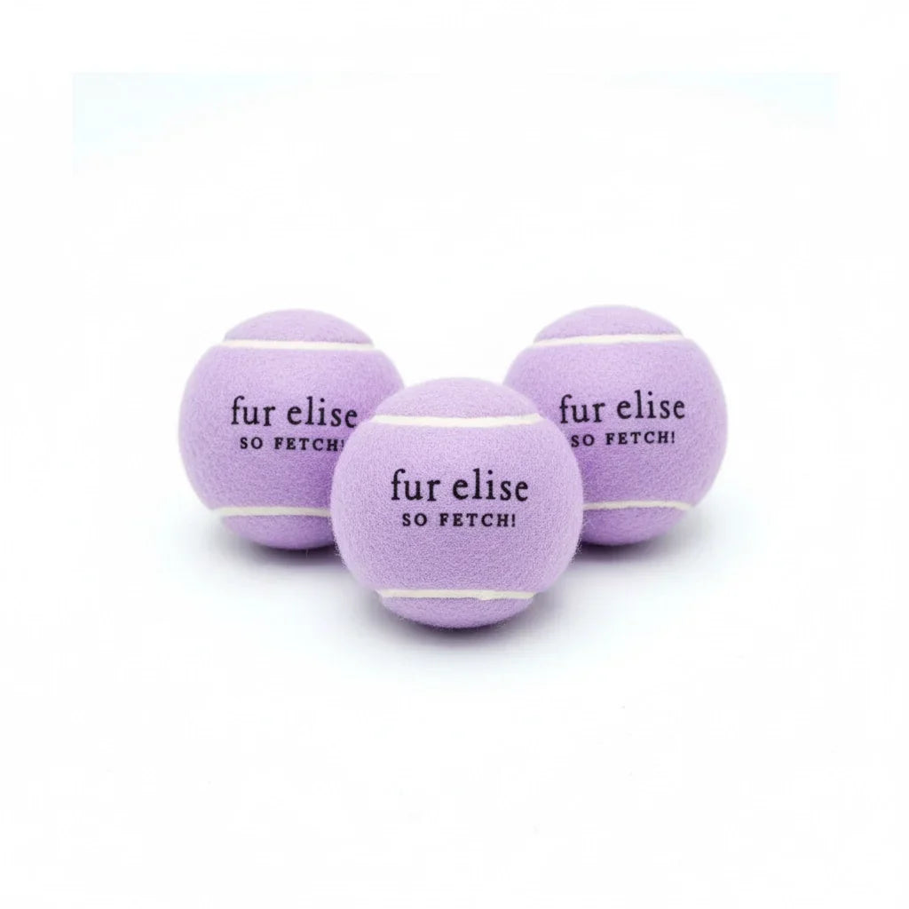 Fur Elise So Fetch! Tennis Ball Pack of 3 - Lilac