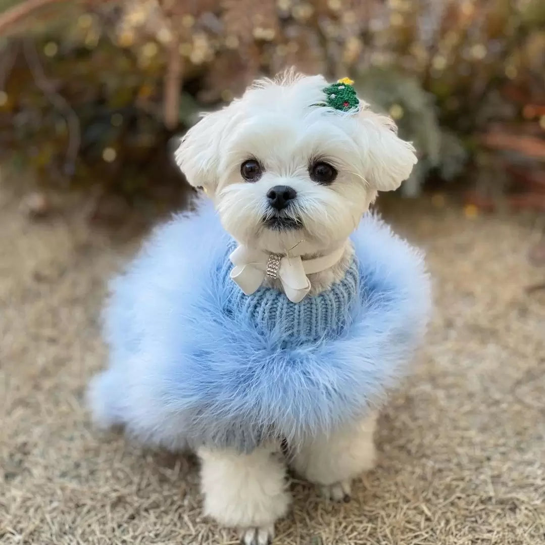 Haute Couture Feathered Luxury Pet Sweater Blue