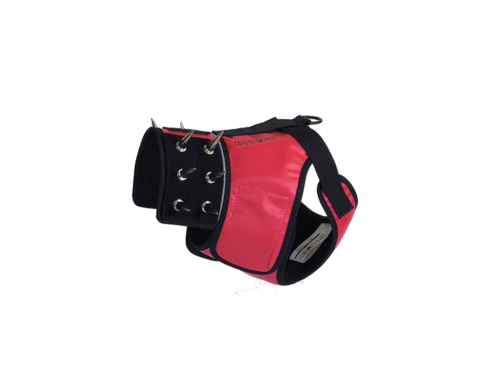 SpikeHarness Small Red