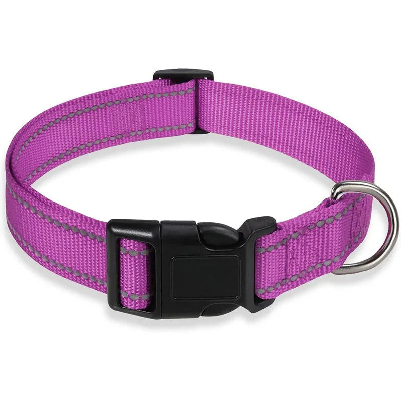 Reflective Nylon Dog Collar | Adjustable Safety Strap for Small and Medium Dogs PURPLE
