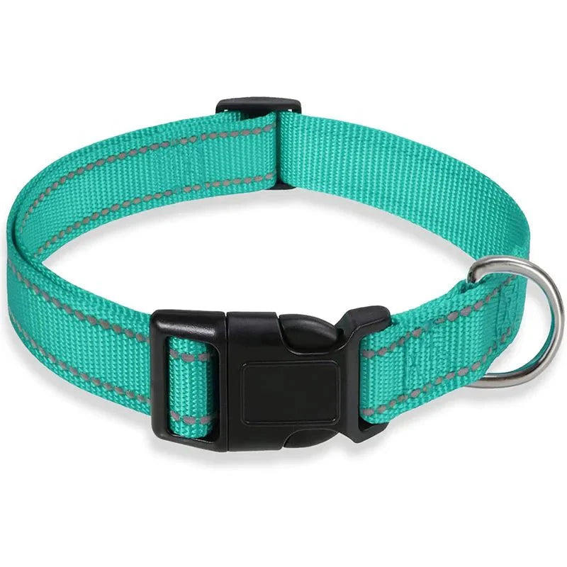 Reflective Nylon Dog Collar | Adjustable Safety Strap for Small and Medium Dogs lake blue