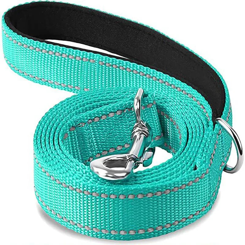 Reflective Pet Leash | Adjustable Polyester Lead Strap for Dogs and Cats cyan