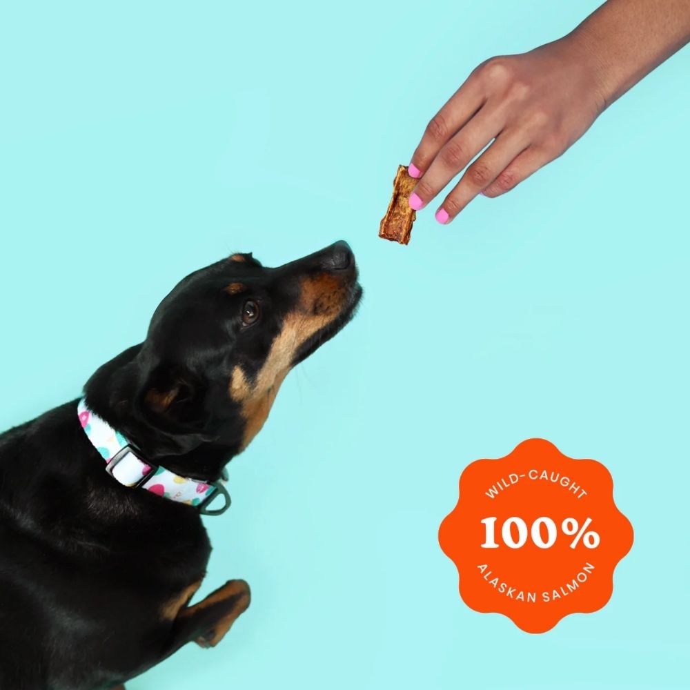 Ava's Pet Palace Crunchy Jerky Dog Treats - Snappin' Salmon Treats (4 oz)