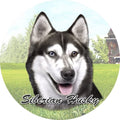 Siberian Husky Car Coaster