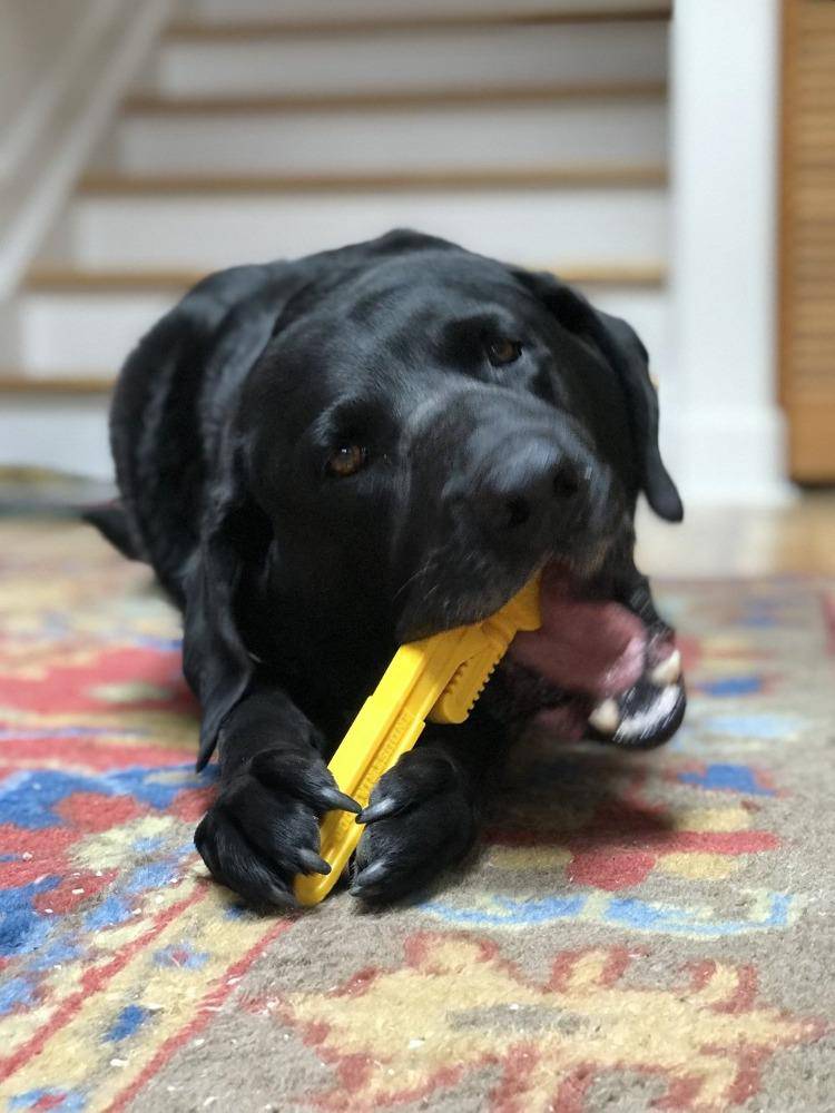 Pipe Wrench Nylon Dog Toy for Aggressive Chewers | USA Made | SodaPup