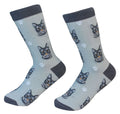 Cat Tabby (Silver) Socks - Unisex
