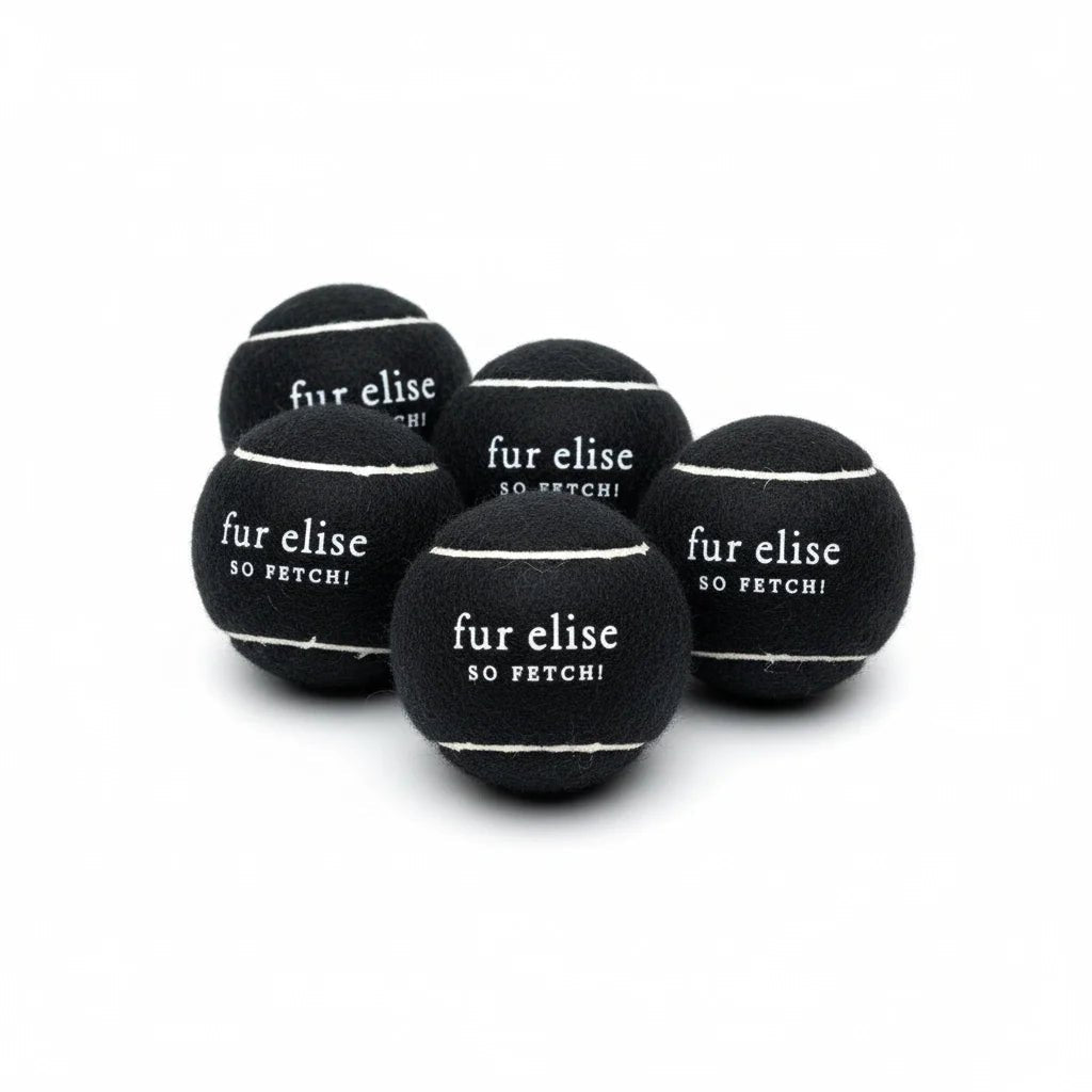 Fur Elise So Fetch! Tennis Ball Pack of 5 - Noire