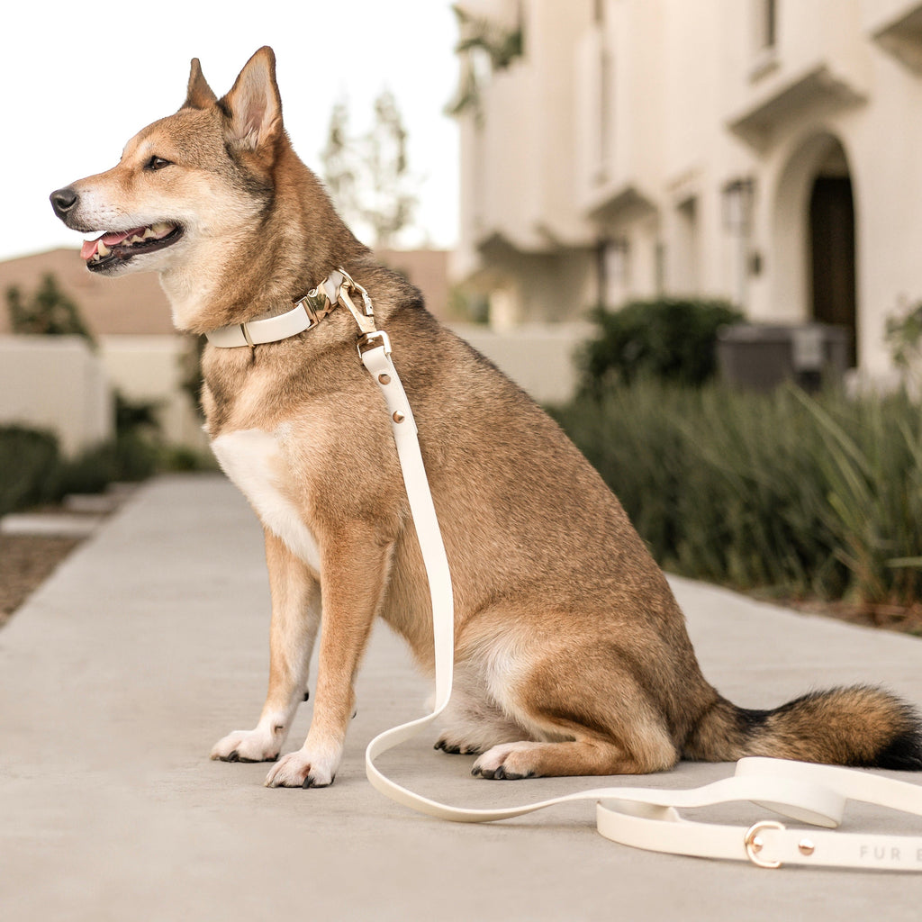 Fur Elise Collar - Bone
