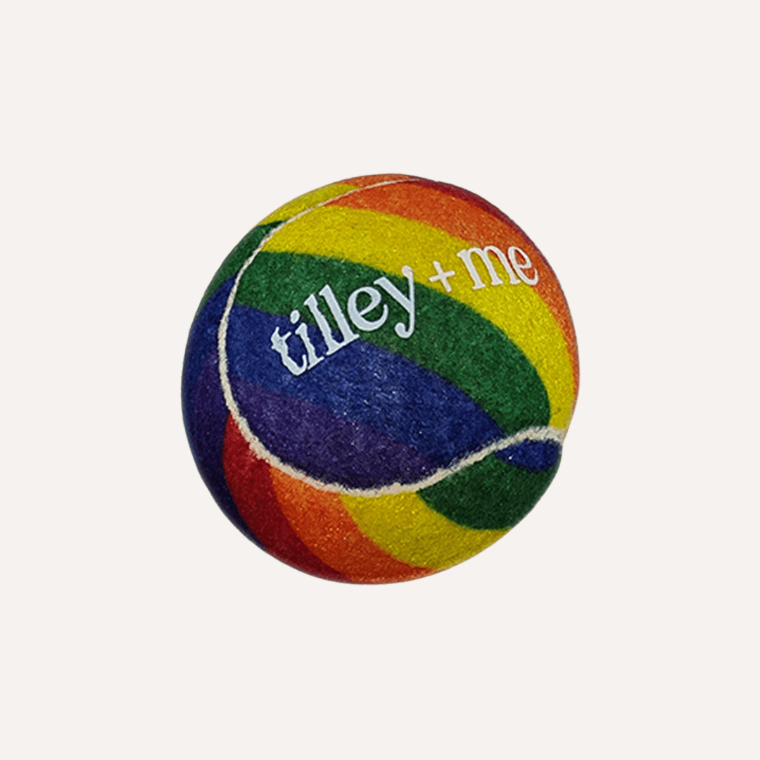 Tilley + Me Tennis Ball for Dogs Pride