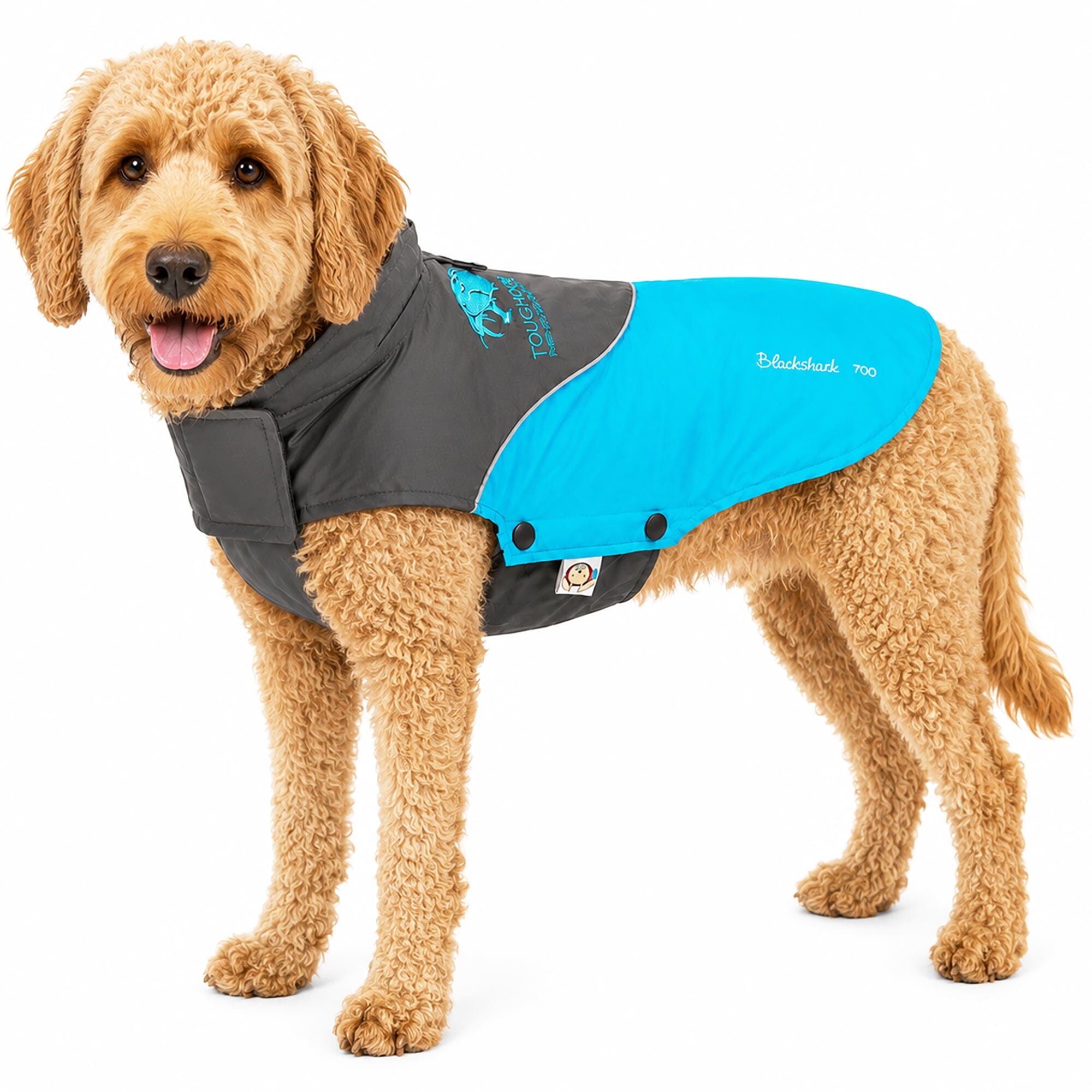 Touchdog ® Subzero-Storm Reflective Year Round Waterproof Dog Coat Sky Blue, Black