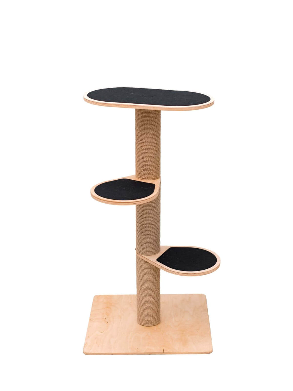 Cat Climbing Tower