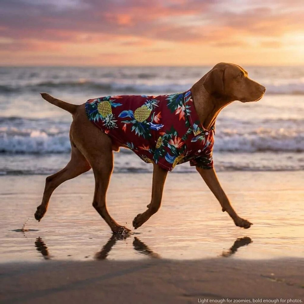 Hawaiian Pet Beach Shirt – Tropical Print Summer Outfit