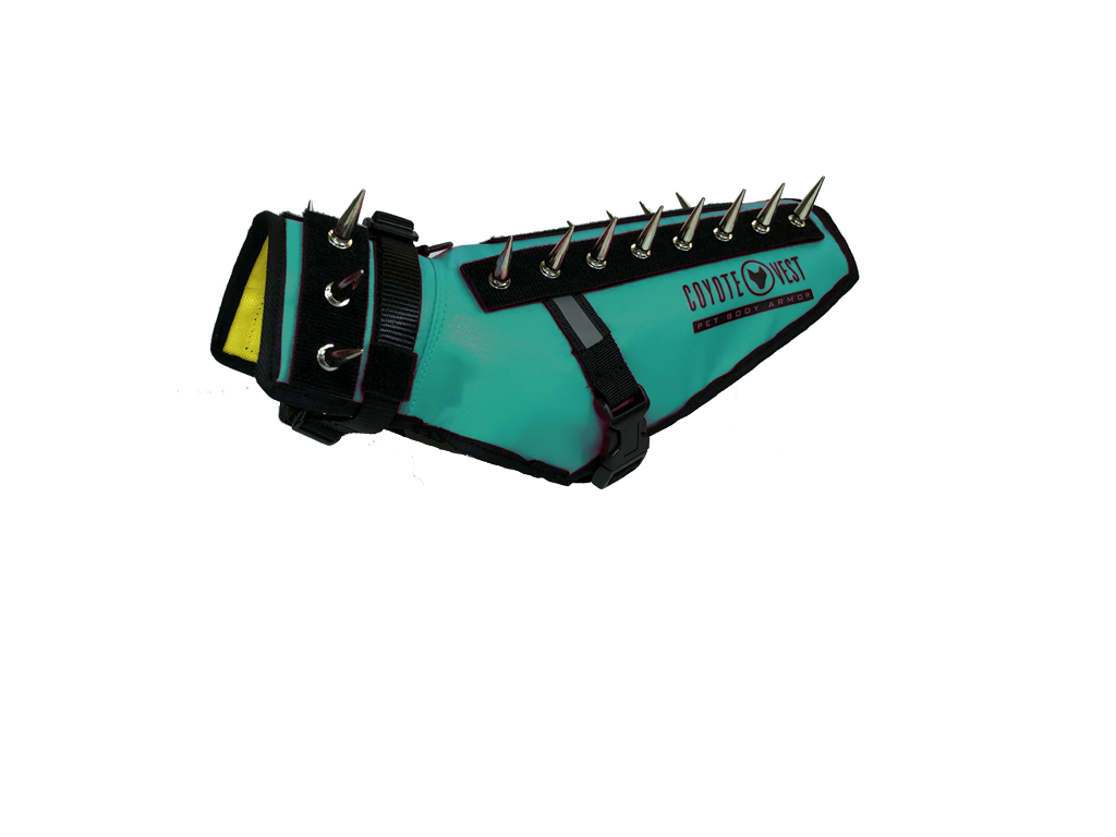 CoyoteVest Extra Small Turquoise