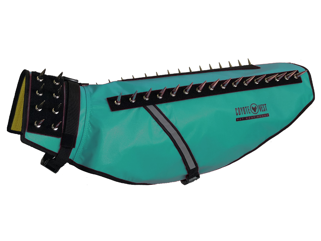 CoyoteVest Large Turquoise