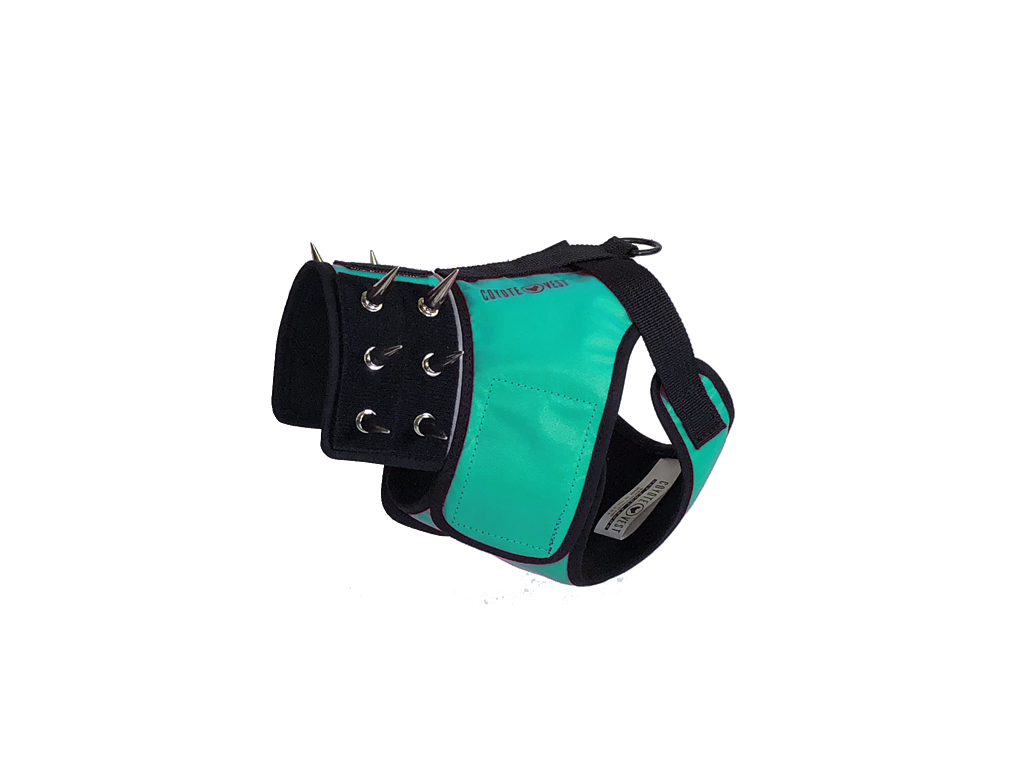 SpikeHarness Small Turquoise