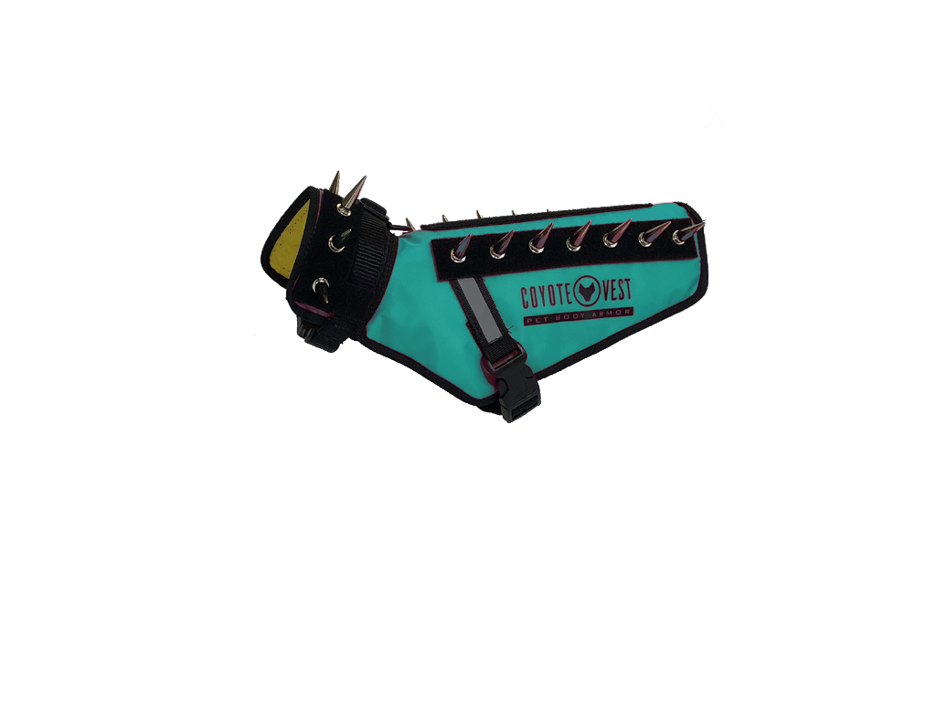 CoyoteVest Mini Turquoise