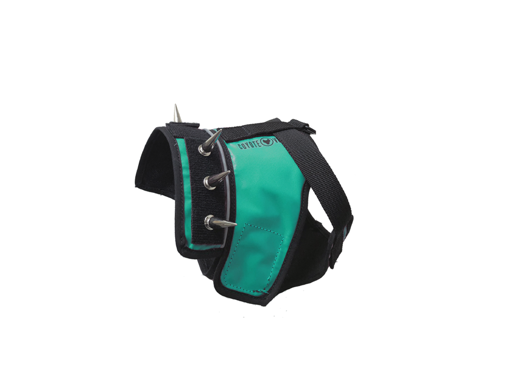 SpikeHarness Extra Small Turquoise