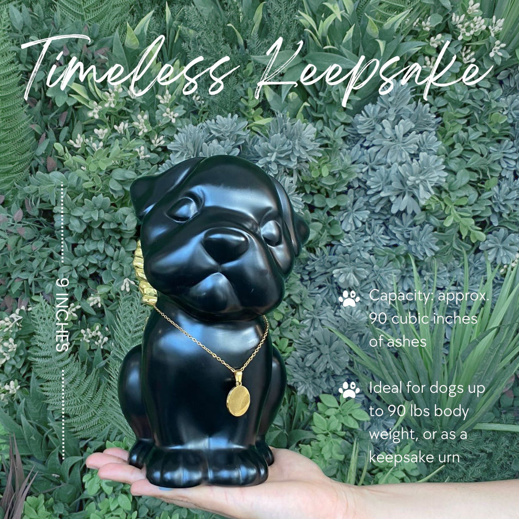 Bully Angel Dog Urn - Onyx with Gold Wings (Great for all bully breeds: Frenchies, Pugs, Boston terriers, Pit bulls, Boxers, and Bulldogs)