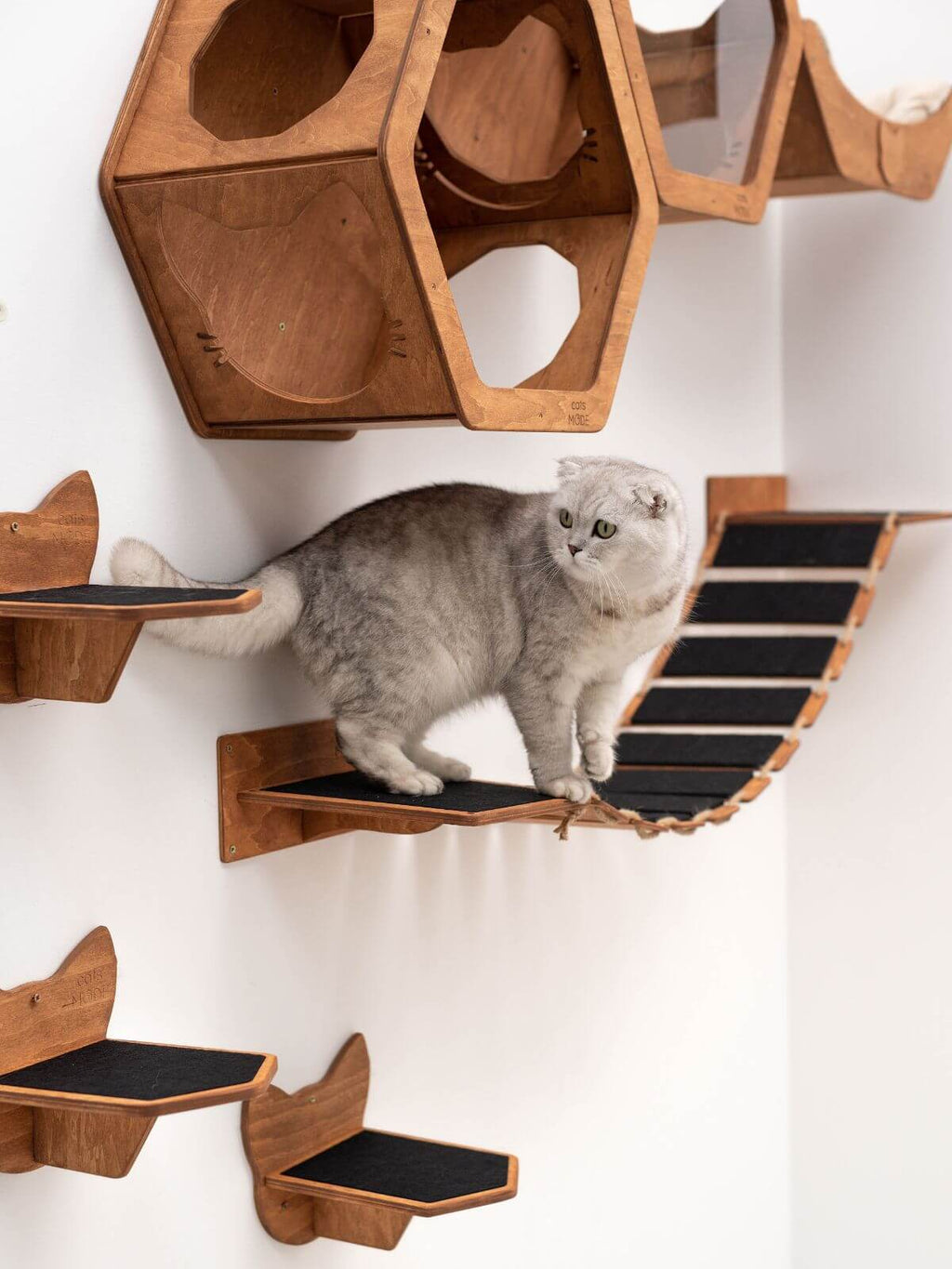 Cat Rope Bridge