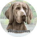 Weimaraner Car Coaster