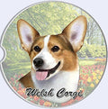 Welsh Corgi Car Coaster Welsh Corgi